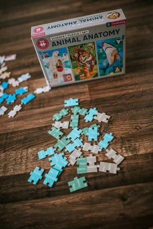 Mudpuppy Puzzle edukacyjne 3w1 Anatomia zwierząt 100 elementów 6+