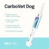 Lab-V CarboVet DOG Preparat o właściwościach odtruwających dla psów 10ml