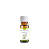 Etja, Olejek Kajeputowy, 10 ml