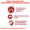 ROYAL CANIN FIT 32 2kg