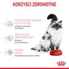 ROYAL CANIN Mother / BABYCAT 400g