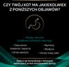 PURINA PVD EN St/Ox Gastrointestinal Feline 1,5kg