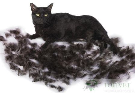 FURminator do podszerstka u kotów krótkowłosych S