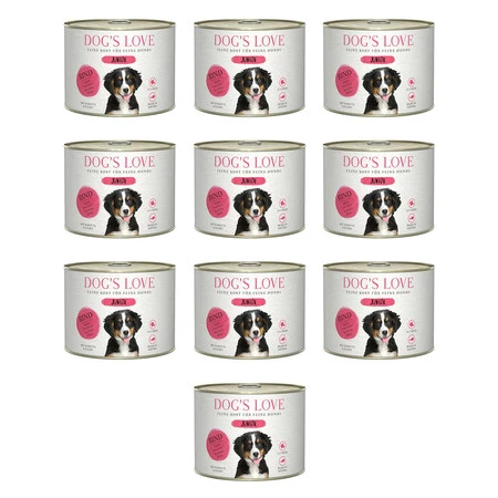 Zestaw 10x DOG'S LOVE Junior Rind - wołowina z marchewką i szałwią dla szczeniąt (200g)