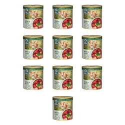Zestaw 10x PURE NATURE DOG Wild Huhn - dziczyzna i kurczak z żurawiną dla dorosłych psów (800g)