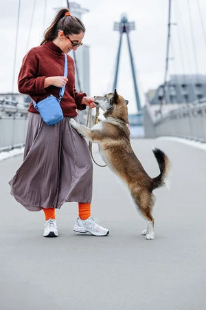 PALOPA Torebka saszetka na smakołyki dla psa Greta sky blue L