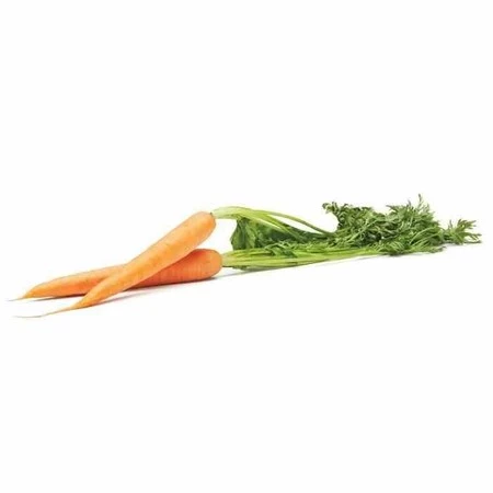 OXO-Pojemnik do przechowywania L biały, Good Grips