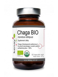 KENAY Chaga BIO na wsparcie odporności i ochrony antyoksydacyjnej 60 kaps.