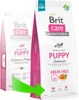 BRIT Care Dog Grain Free Puppy Salmon 3kg