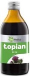 Łopian
