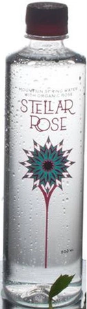 Stellar Rose − Woda różana BIO − 500 ml