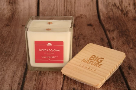 Świeca sojowa zap. insp. DIOR FAHRENHEIT 450g