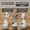 Georganics, Naturalne tabletki do płukania jamy ustnej, do codziennej pielęgnacji, z aktywnym węglem, 180 tabletek