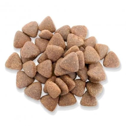 Fitmin Dog Medium Maintenance sucha karma dla psa 12kg