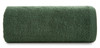 Ręcznik Gładki2 (31), 50 x 100 cm, Ciemnozielony