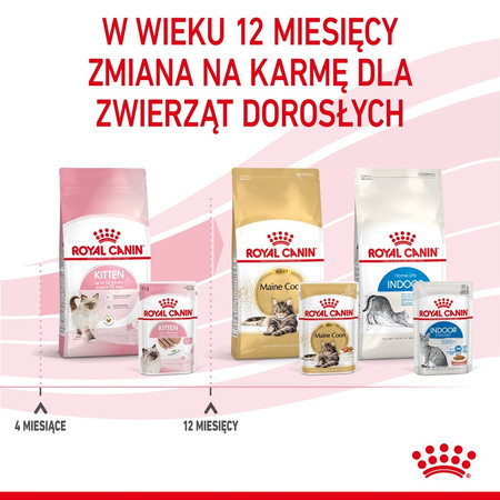 ROYAL CANIN KITTEN w pasztecie 85g