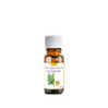 Etja, Olejek kadzidłowy, 10 ml