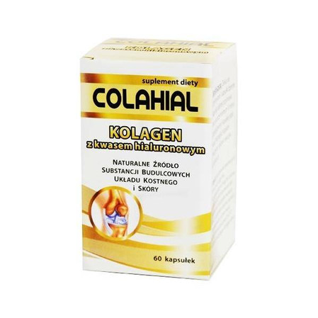 Gorvita Kolagen z kwasem Hialuronowym 60 kaps.
