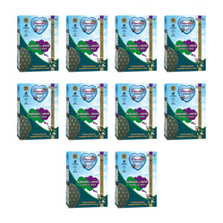 Zestaw 10x Renske Fresh turkey with duck - świeży indyk z kaczką dla psów (375 g)