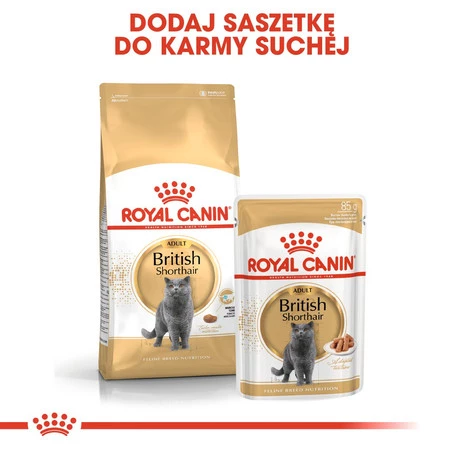 ROYAL CANIN British Shorthair Adult w sosie 85g