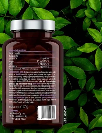 ESSENSEY MAGNEZ+CYNK+B6 120 kaps