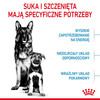 ROYAL CANIN Maxi Starter Mother / Babydog 4kg