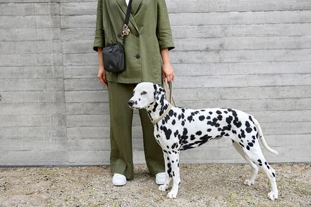 PALOPA Torebka saszetka na smakołyki dla psa Greta black L