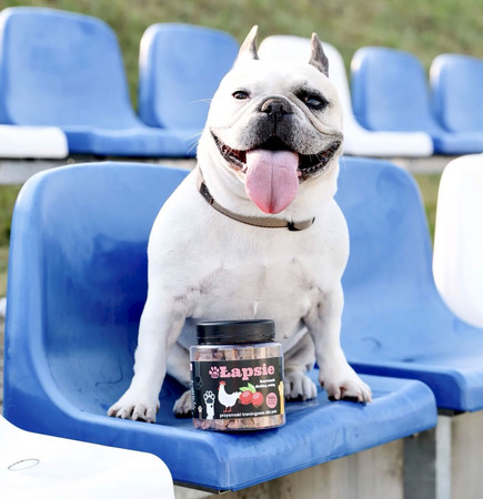 Happy Snacky ŁAPSIE Kurczak z Dziką Różą 300g