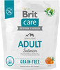 BRIT Care Dog Grain Free Adult Salmon 1kg
