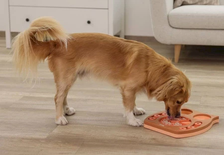 KERBL Zabawka logiczno-edukacyjna dla psa Owl