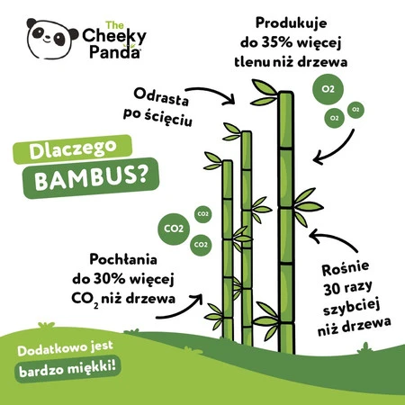 Cheeky Panda, Ręcznik papierowy, 200 listków (2 rolki po 100 listków)