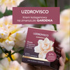 Uzdrovisco Gardenia Krem kolagenowy na zmarszczki na dzień 50ml