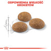 ROYAL CANIN Outdoor 30 400g