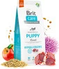 Brit Care Dog Hypoallergenic Puppy Lamb 1kg