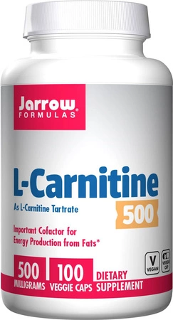 L-Karnitine 500 mg (100 kaps.)