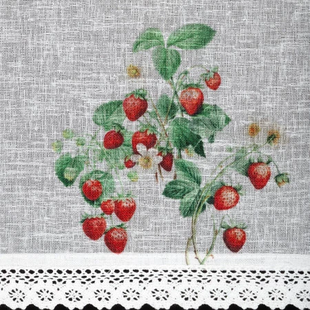 FIR/KSENIA/B+ZIE 30X150 TUNEL