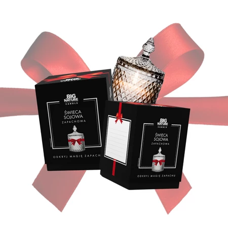 Świeca soj zap. insp. DIOR FAHRENHEIT 485g PREZENT