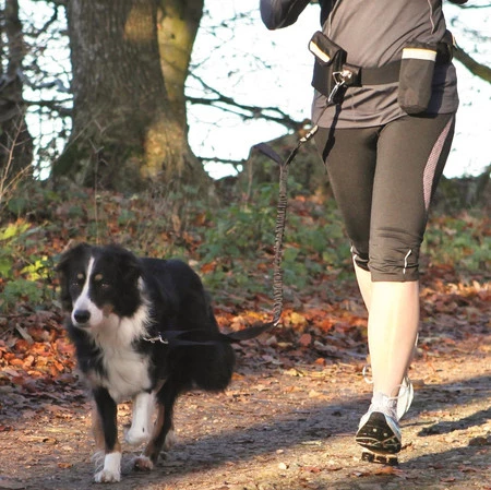 TRIXIE Pas biodrowy ze smyczą Dog Activity Hands Free