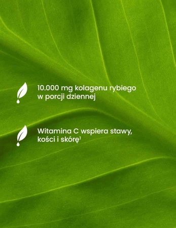 Essensey Kollagen Rybi 10000 mg na stawy, włosy z kwasem hialuronowym 321g smak zielona herbata