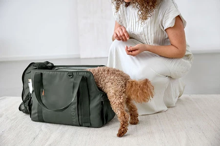 PALOPA Torba transportowa dla psa do 10kg Weda dark olive