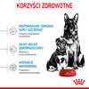ROYAL CANIN Maxi Starter Mother / Babydog 4kg