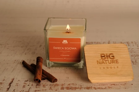 Big Nature Świeca sojowa o zapachu CYNAMON 205g