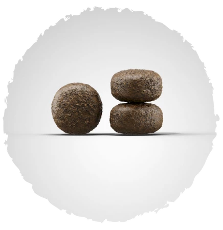 JOSERA LIGHT / VITAL Adult Karma Dietetyczna 12,5kg