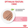 ROYAL CANIN KITTEN w pasztecie 85g