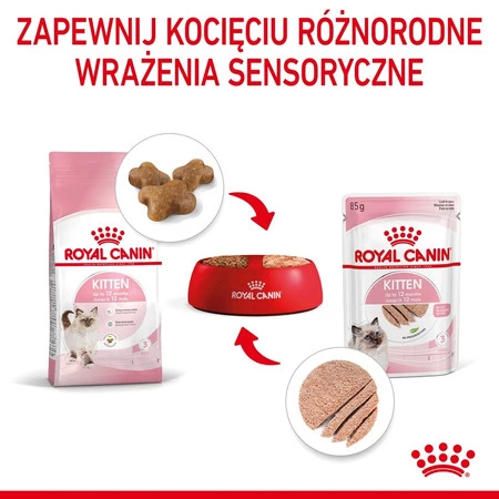 ROYAL CANIN KITTEN w pasztecie 85g