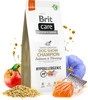 BRIT Care Dog Hypoallergenic Show CHAMPION Ryby 1kg