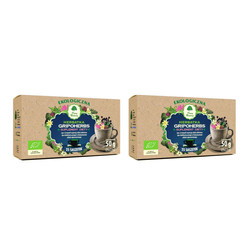 Zestaw: 2x Dary Natury Herbata Gripoherbs Eko 25x2g
