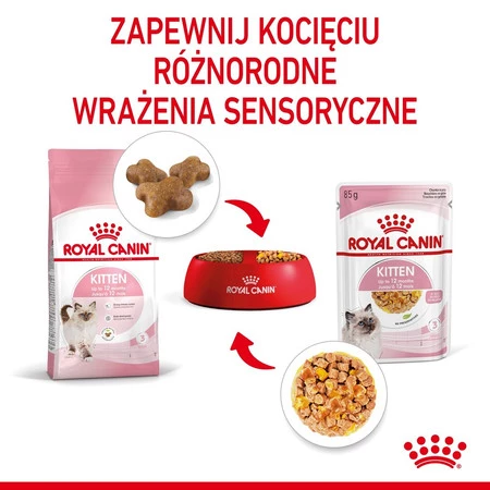 ROYAL CANIN KITTEN w galaretce 85g