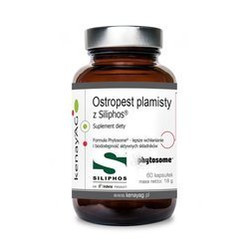 KENAY Ostropest plamisty Siliphos® na wsparcie wątroby i układu pokarmowego 60 kaps.