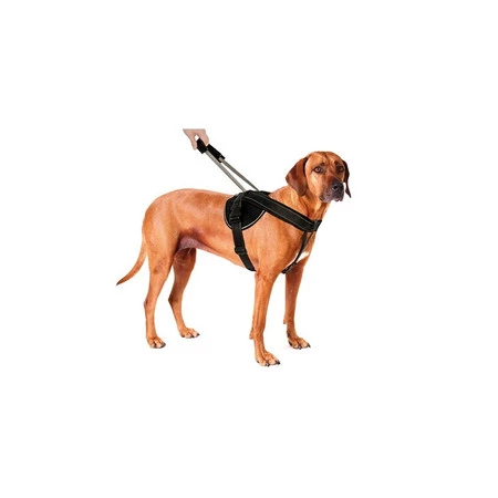 PATENTO PET Szelki Jockey M Czarne